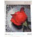 Diamond embroidery (set) Red rose