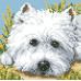 Diamond embroidery (set) puppy look 