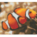 Diamond embroidery (set) clown fish
