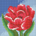 Diamond embroidery (set) Small tulip