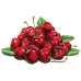 Diamond embroidery (set) A handful of cherries