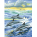 Diamond embroidery (set) Dolphins family