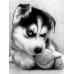 Diamond embroidery (set) Playful husky