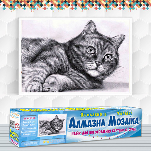 Diamond embroidery (set) Lazy cat
