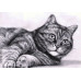 Diamond embroidery (set) Lazy cat