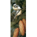 Diamond mosaic (set) Tit on a branch