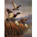Diamond embroidery (set) Wild ducks
