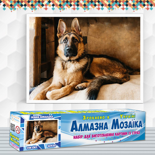 Diamond embroidery (set) German Shepherd