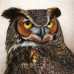 Diamond embroidery (set) Predatory species