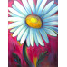 Diamond embroidery (set) Art daisy