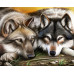 Diamond Embroidery (set) Wolves