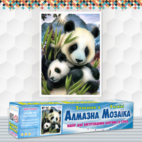 Diamond Embroidery (set) Сute pandas