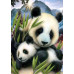 Diamond Embroidery (set) Сute pandas