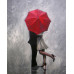 Diamond embroidery (set) Lovers under an umbrella