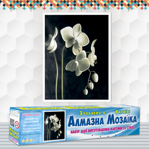 Diamond embroidery (set) Blooming orchid