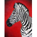 Diamond embroidery (set) Zebra