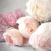 Diamond embroidery (set) Delicate peonies