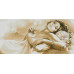 Diamond embroidery (set) Women's dreams 