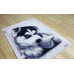 Diamond embroidery (set) Playful husky