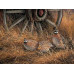 Diamond embroidery (set) Partridge  in grass