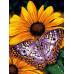 Diamond embroidery (set) Butterfly on flowers