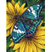 Diamond embroidery (set) butterfly on Gerbera