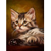 Diamond embroidery (set) Cute kitten