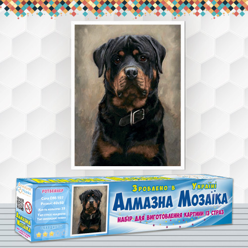 Diamond embroidery (set) Rottweiler