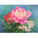 Diamond embroidery (set) Bouquet of peonies