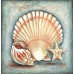 Diamond embroidery (set) Seashell