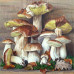 Diamond embroidery (set) Mushroom still life