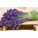 Diamond embroidery (set) Blooming lavender