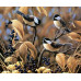 Diamond embroidery (set) Tit in autumn