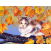 Diamond embroidery (set) Kitten on a branch
