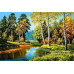 Diamond embroidery (set) Autumn in the forest