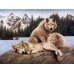 Diamond embroidery (set) Wolves on vacation
