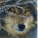 diamond embroidery (set) Wolf look