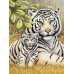 Diamond embroidery (set) Love of the tigress