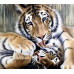 Diamond embroidery (set) Tiger tenderness