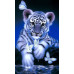 Diamond Embroidery (set) - Tiger cub with butterflies
