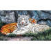 Diamond embroidery (set) Rest of the tigers