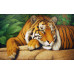 Diamond embroidery (set) Wise tiger