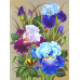 Diamond embroidery (set) Bright irises