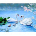 Diamond embroidery (set) Swan family