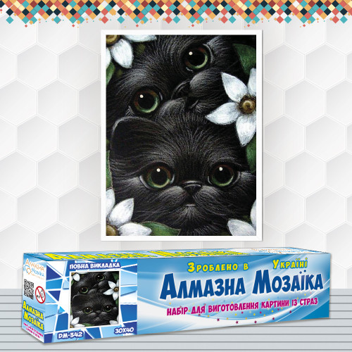 Diamond embroidery (set) Kittens with green eyes