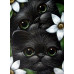 Diamond embroidery (set) Kittens with green eyes