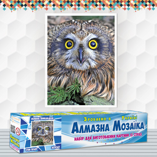 Diamond embroidery (set) Owl