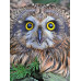 Diamond embroidery (set) Owl
