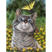 Diamond Embroidery (set) - Cat with a butterfly