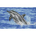 Diamond embroidery (set) Dolphin